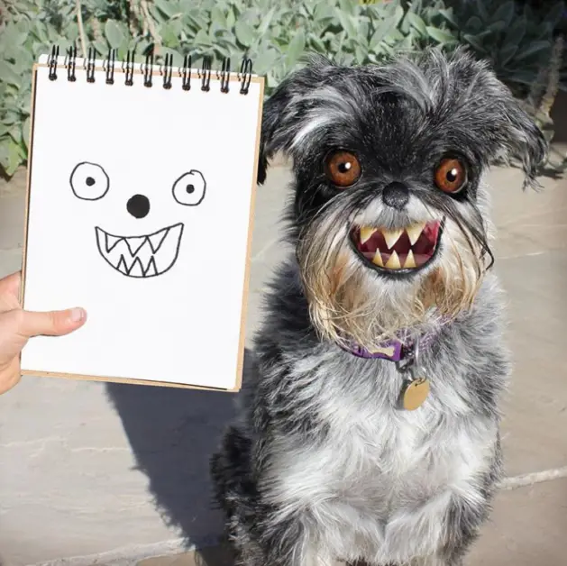 Dad brings kids' drawings to life and the results are weirdly realistic