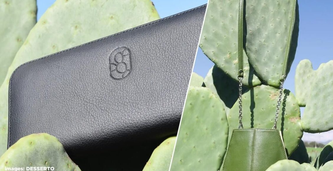 Two Guys in Mexico Just Created Eco-Friendly Leather From Cactus