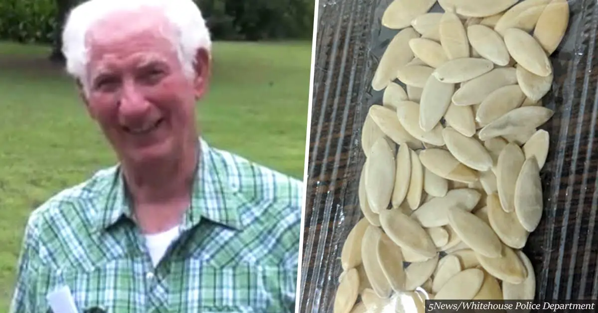 Man grows unstoppable plant after sowing mysterious seeds from China