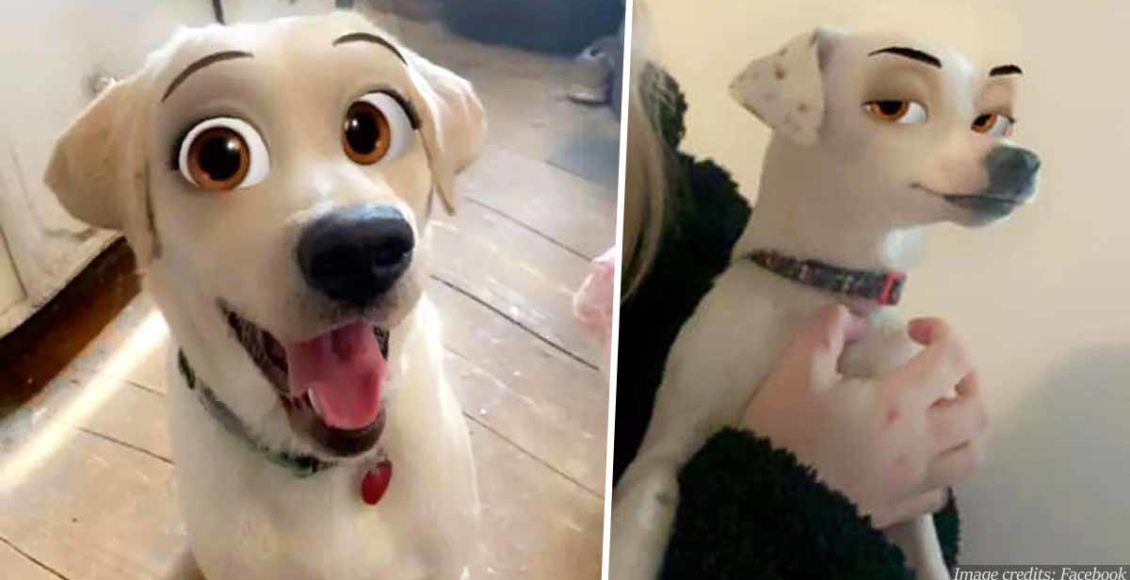 This New Snapchat Filter Makes Your Dog Look Like A Disney Character