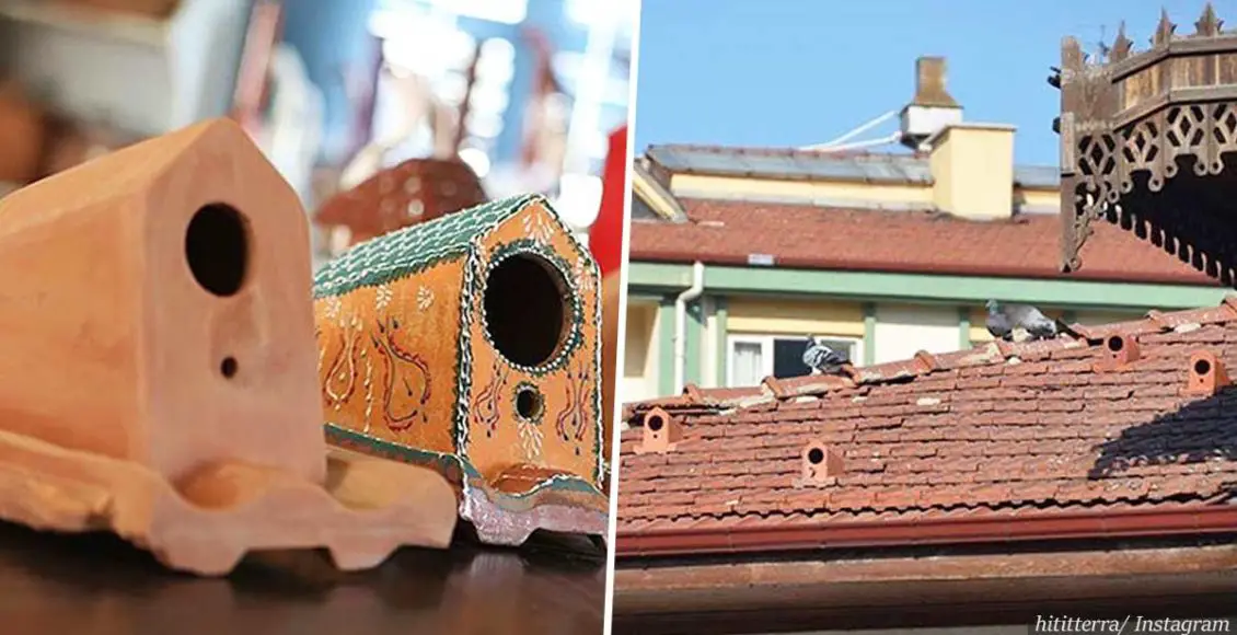 Turkish company is manufacturing roof tiles that double as bird shelters