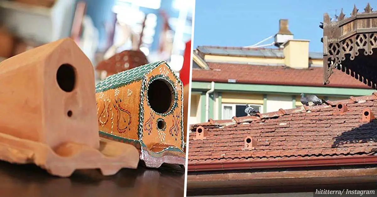 Turkish company is manufacturing roof tiles that double as bird shelters