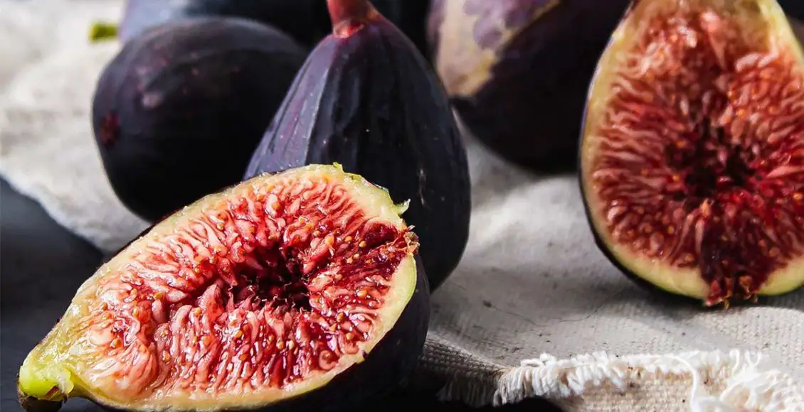 You might never look at figs the same way after reading this