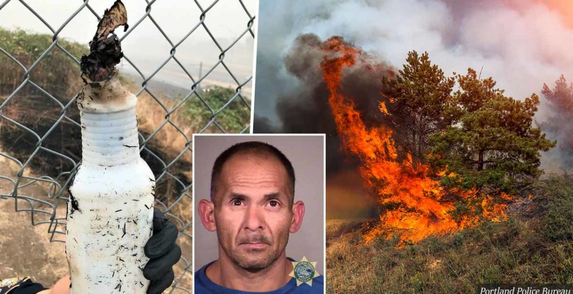 Man Arrested For Starting Wildfire With Molotov Cocktail, Gets Released From Jail, Starts 6 More Fires: Police