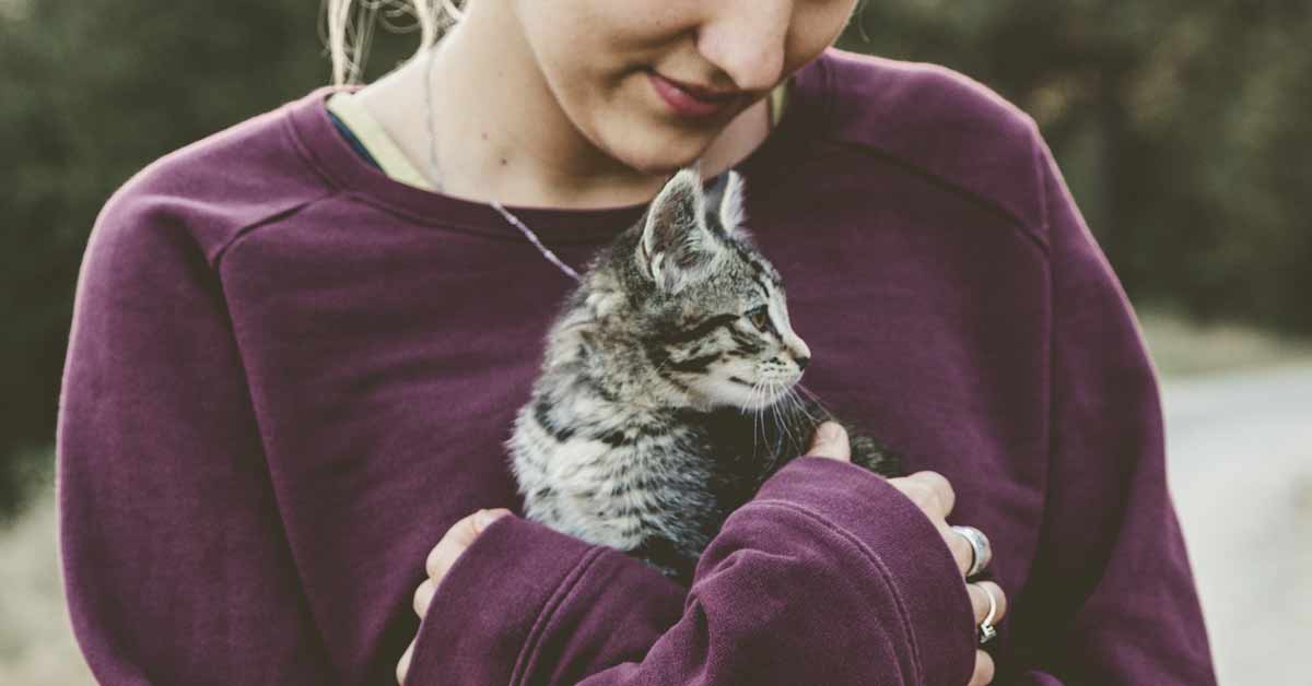 New Research Identifies The 5 Types Of Cat Owners