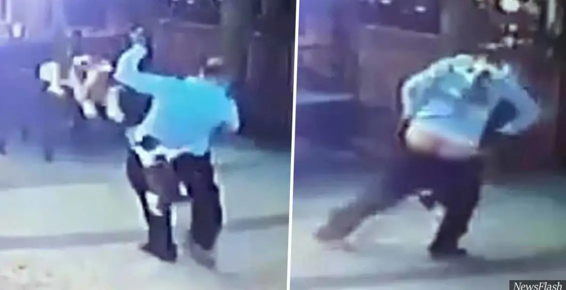 Dog walker almost loses pants on viral video as cat attacks him and his pet after they get too close to kittens