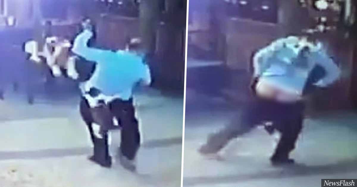 Dog walker almost loses pants on viral video as cat attacks him and his pet after they get too close to kittens