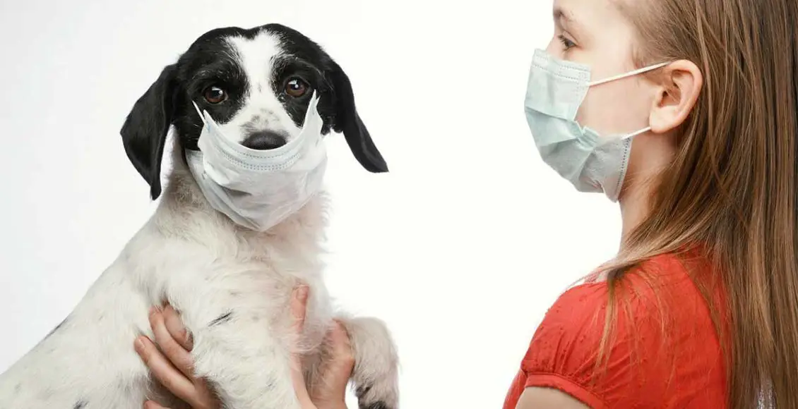 How do pets affect our mental health amid the coronavirus pandemic?