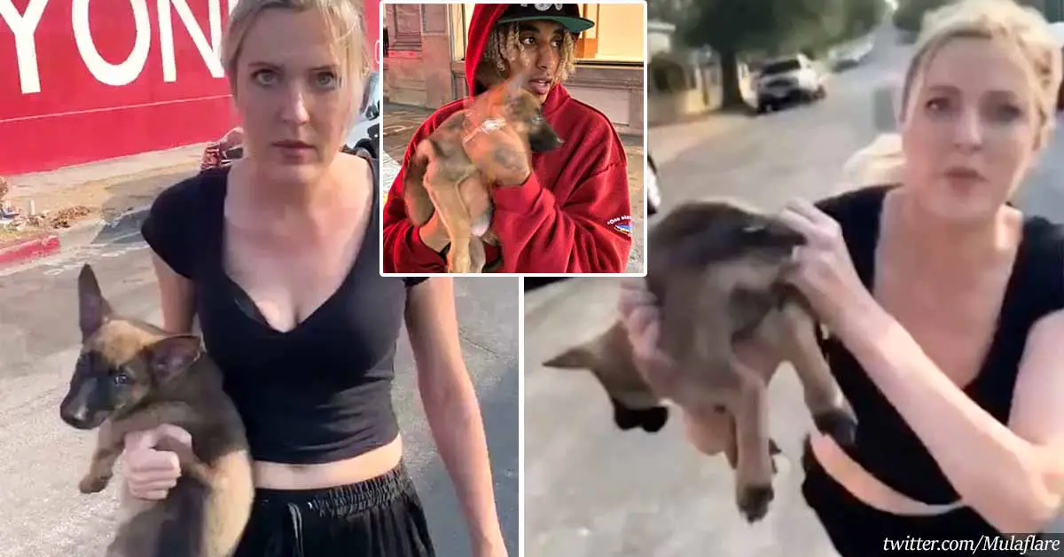 Man adopts a puppy that a woman hurled at him in a racist attack