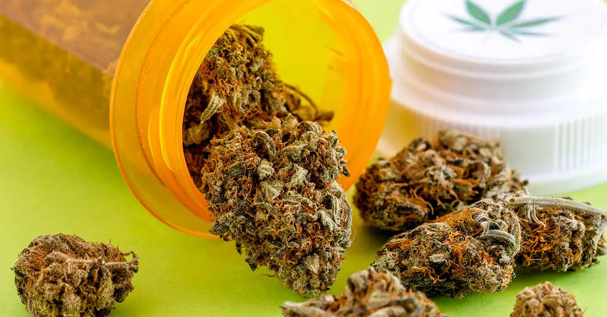 THC in cannabis could help prevent and treat life-threatening COVID-19 complications