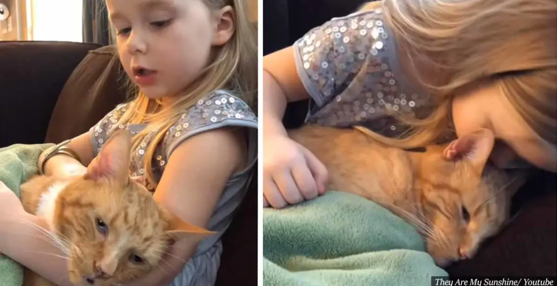 4-Year-Old Girl Sings ‘You Are My Sunshine’ To Her Cat As He Passes Away