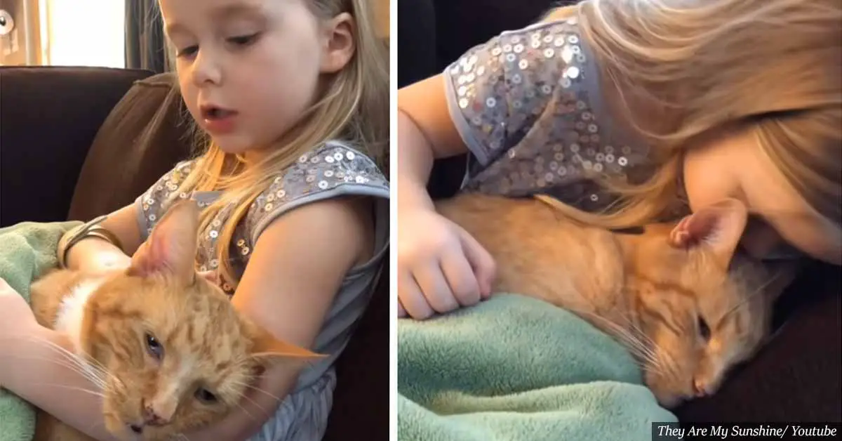 4-Year-Old Girl Sings ‘You Are My Sunshine’ To Her Cat As He Passes Away