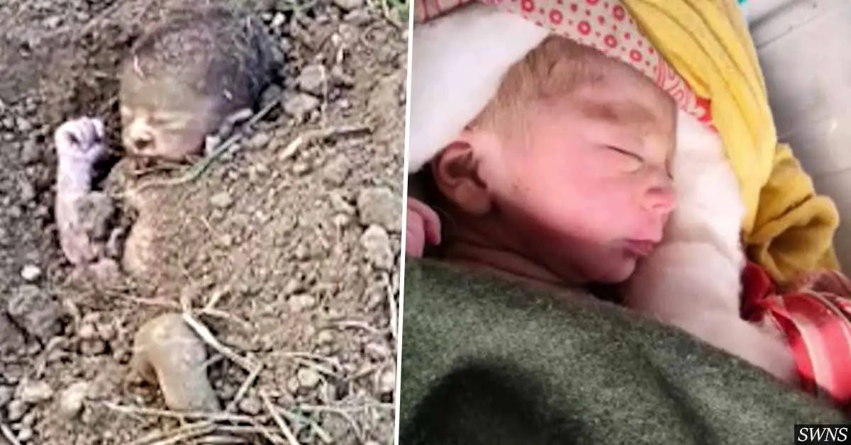 Newborn baby rescued after being BURIED ALIVE on a farm