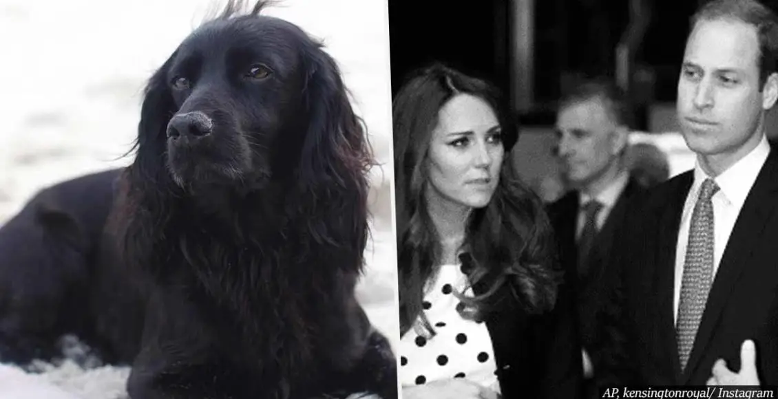 Prince William and Kate Middleton's family dog Lupo died last weekend