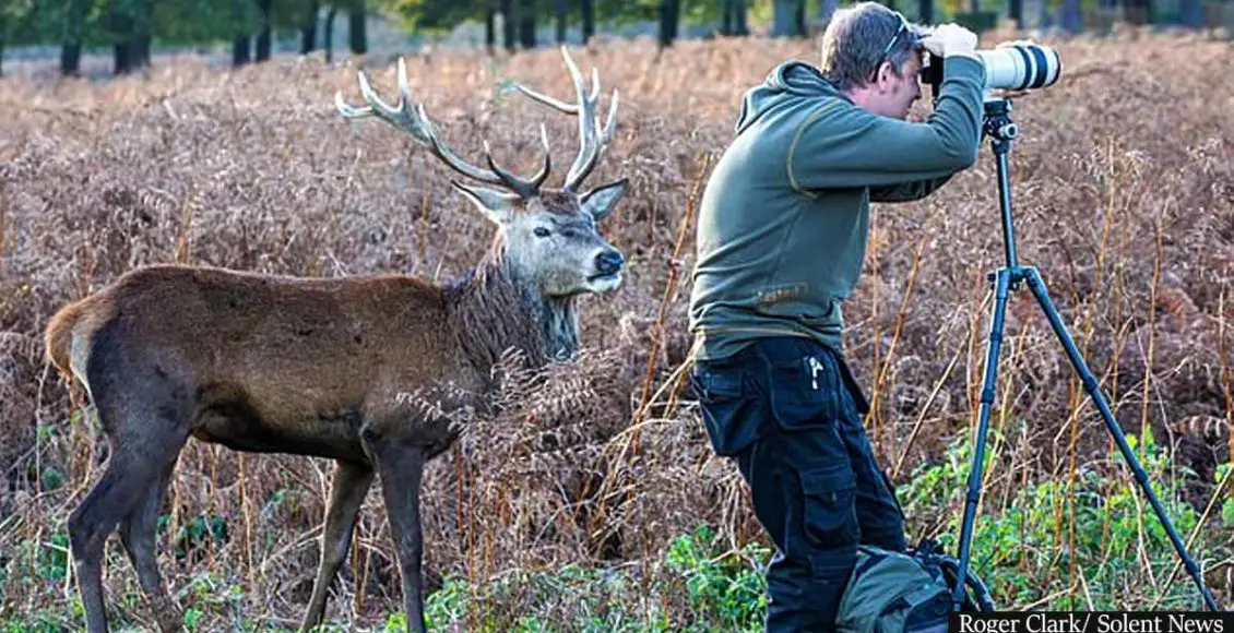 Unique photographs catch a deer sneaking up on a clueless wildlife photographer