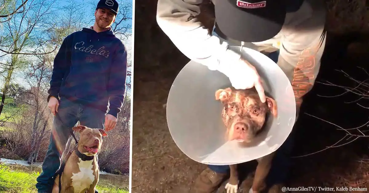 California man tackles, punches 350 pound bear to save his dog