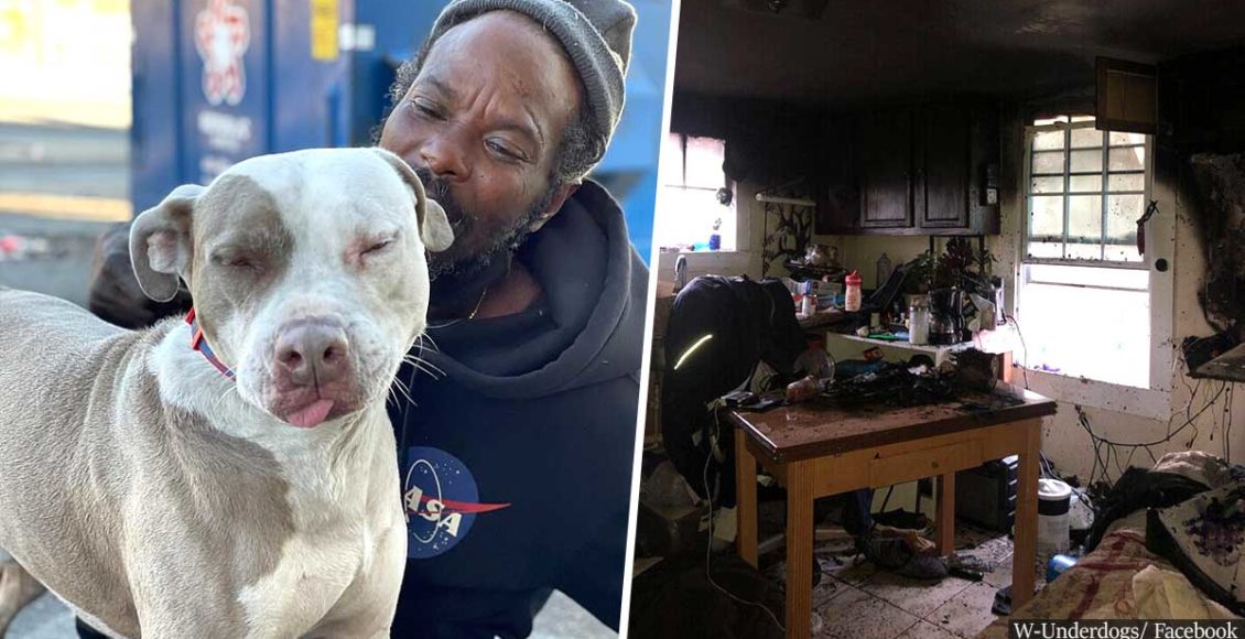 Homeless Man Hailed A Hero After Rescuing Dozens Of Cats And Dogs From A Burning Animal Shelter
