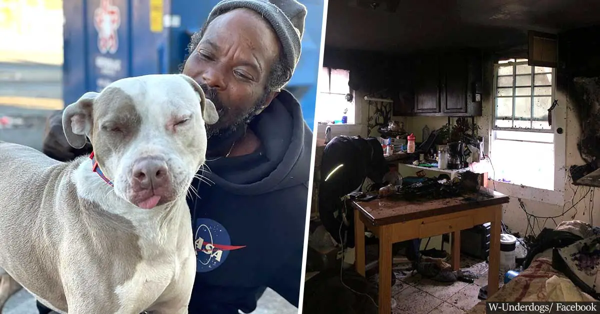 Homeless Man Hailed A Hero After Rescuing Dozens Of Cats And Dogs From A Burning Animal Shelter