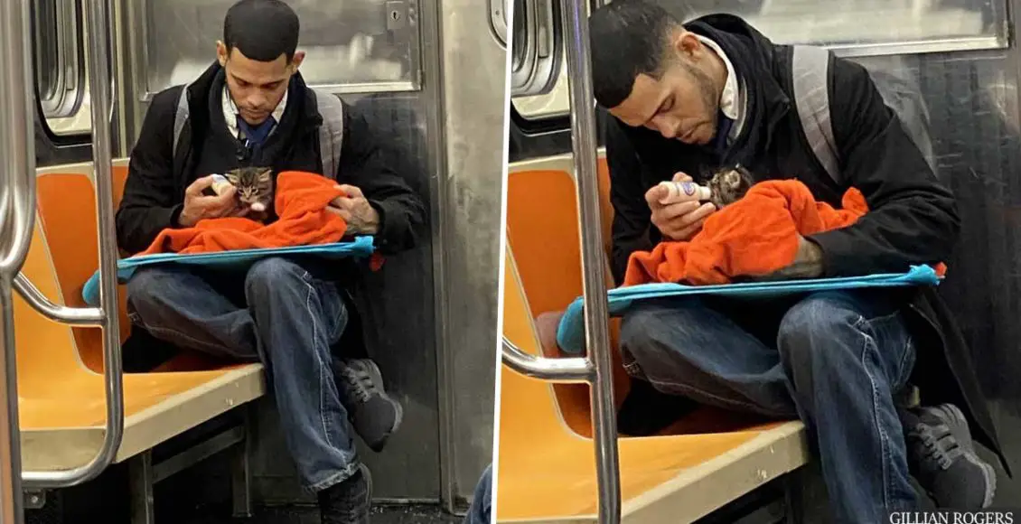 Man Restoring People’s Faith In Humanity, Spotted With Tiny Kitten On Subway