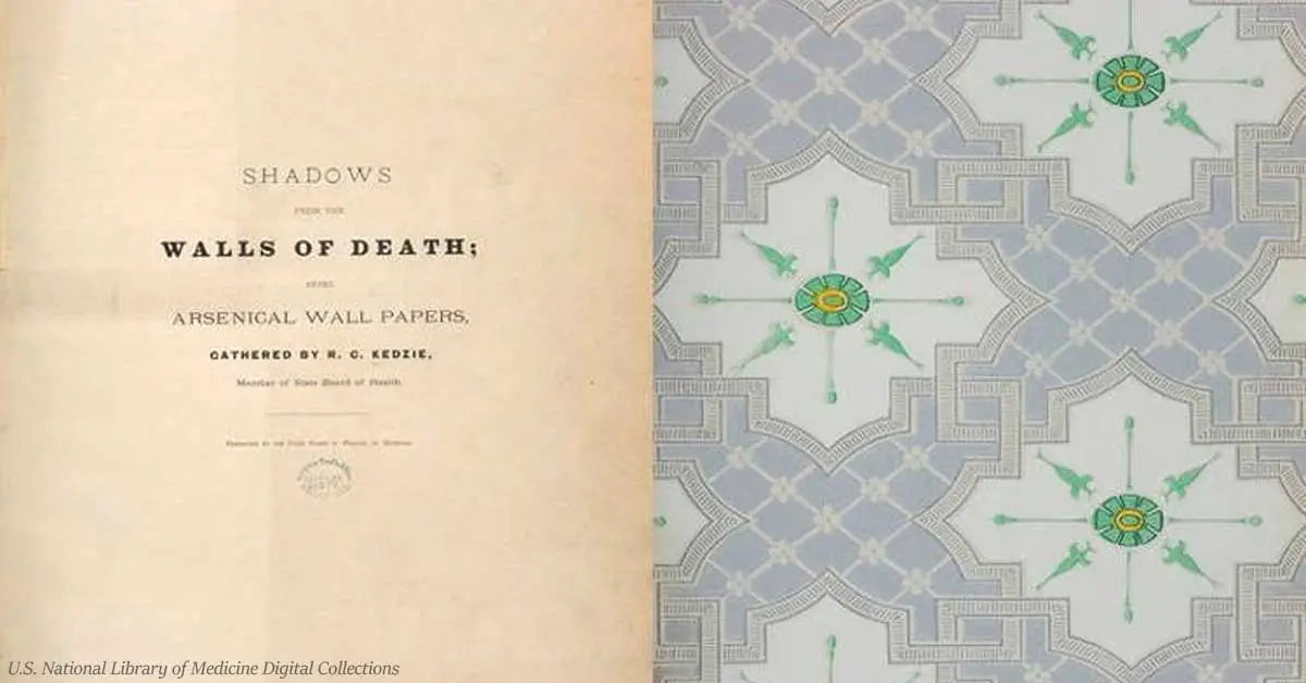 Shadows From the Walls of Death – The Toxic Book That Can Literally Kill You