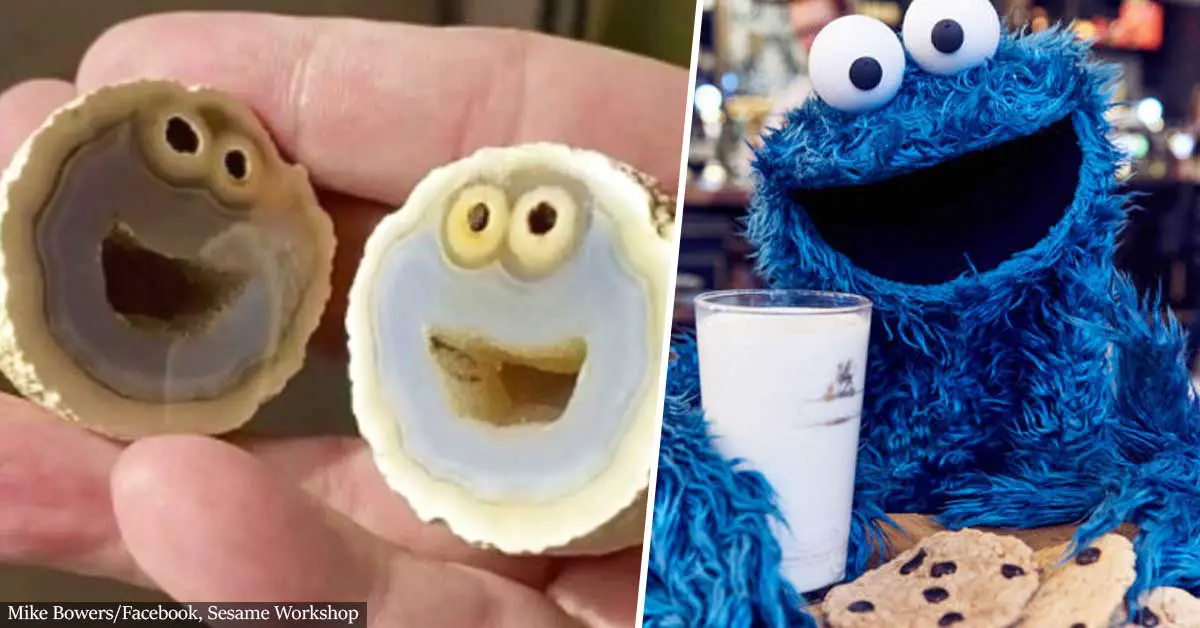 Geologist Finds Rock With Rare Formation That Resembles Sesame Street's Cookie Monster
