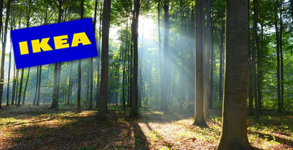 IKEA Buys 11,000 Acres of U.S. Forest to Keep It From Being Developed