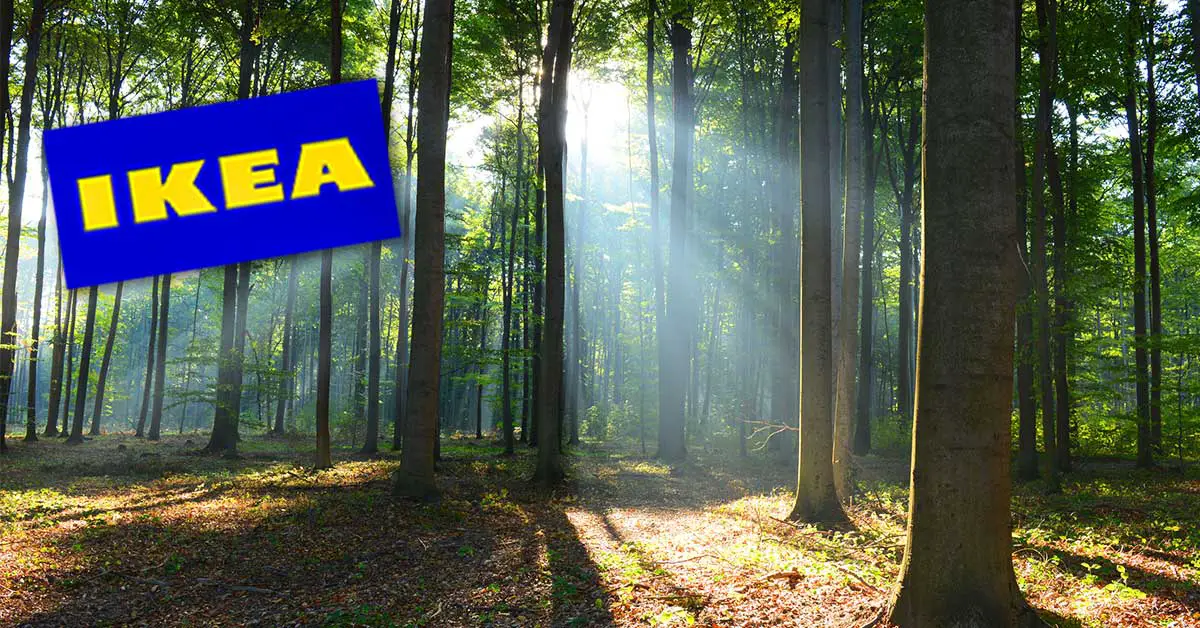 IKEA Buys 11,000 Acres of U.S. Forest to Keep It From Being Developed