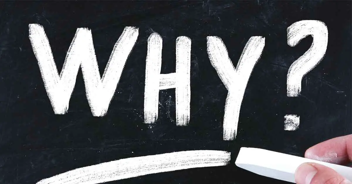 3 Things You Need To Know Before Asking "Why?"