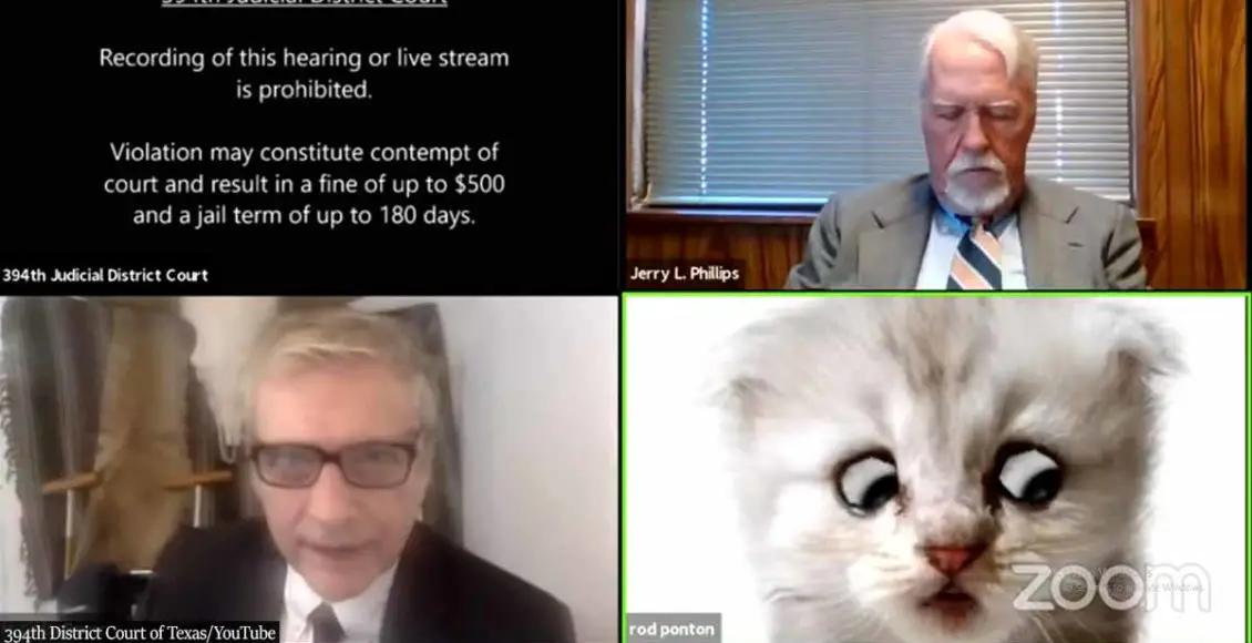 "I'm not a cat": Attorney Gets Stuck With Kitten Filter During Online Hearing