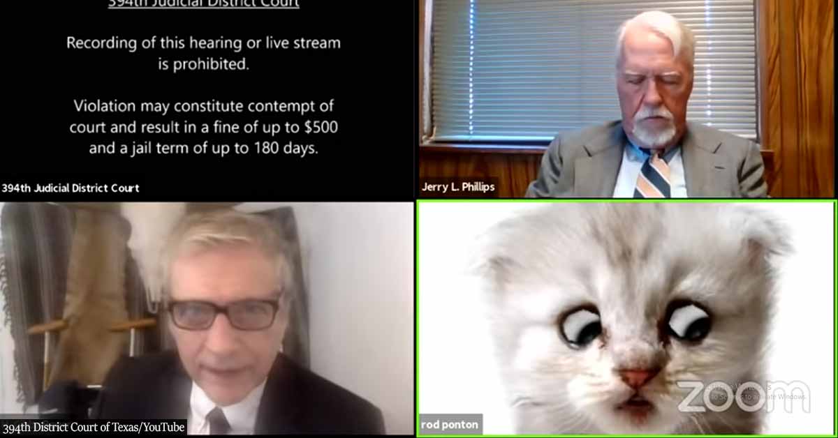 "I'm not a cat": Attorney Gets Stuck With Kitten Filter During Online Hearing