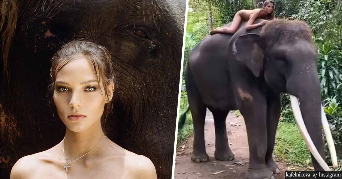 Instagram model poses for NAKED photoshoot with endangered elephant