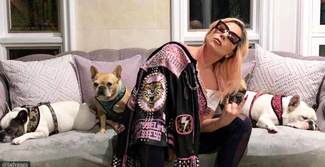 Lady Gaga Offers $500,000 Reward For Safe Return Of Dogs After Dogwalker Shot