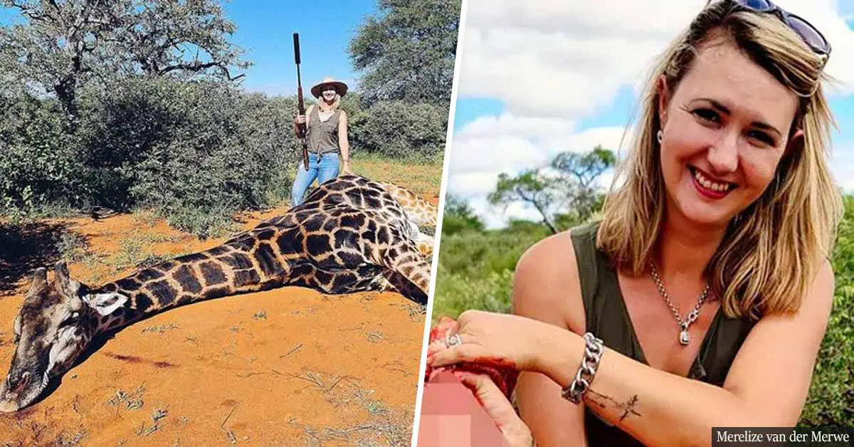 Trophy Hunter Poses With Heart Of Giraffe She Shot For $2,000 And Defends Her Actions