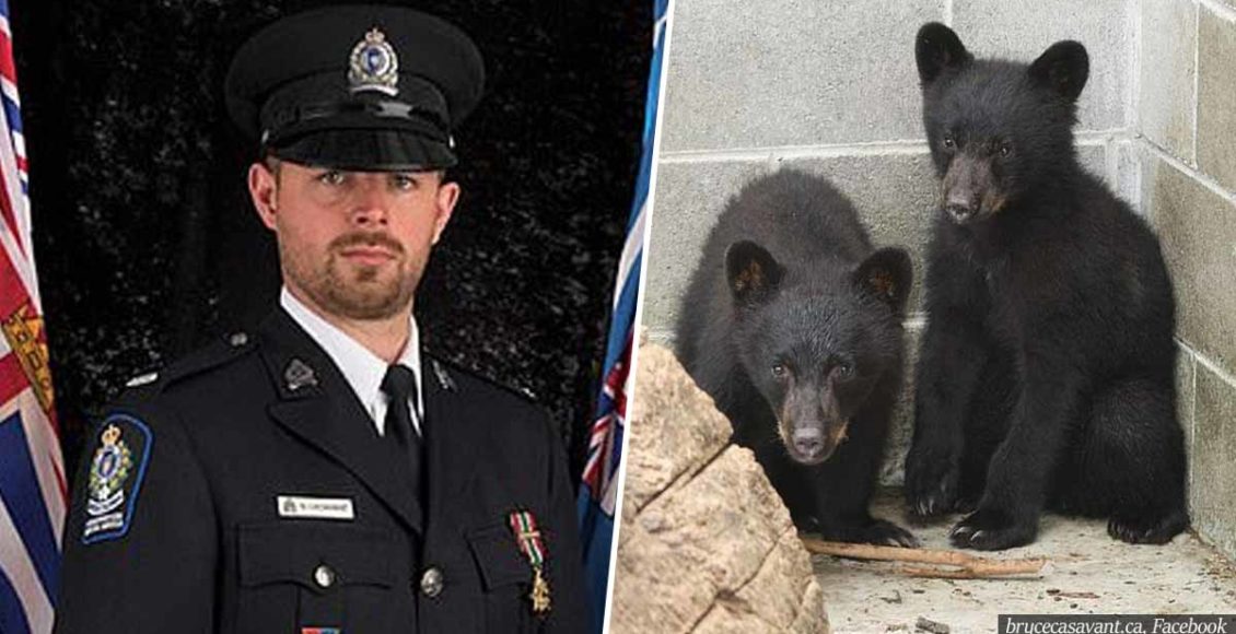 Former conservation officer fired for refusing to kill two bear cubs wants his job back