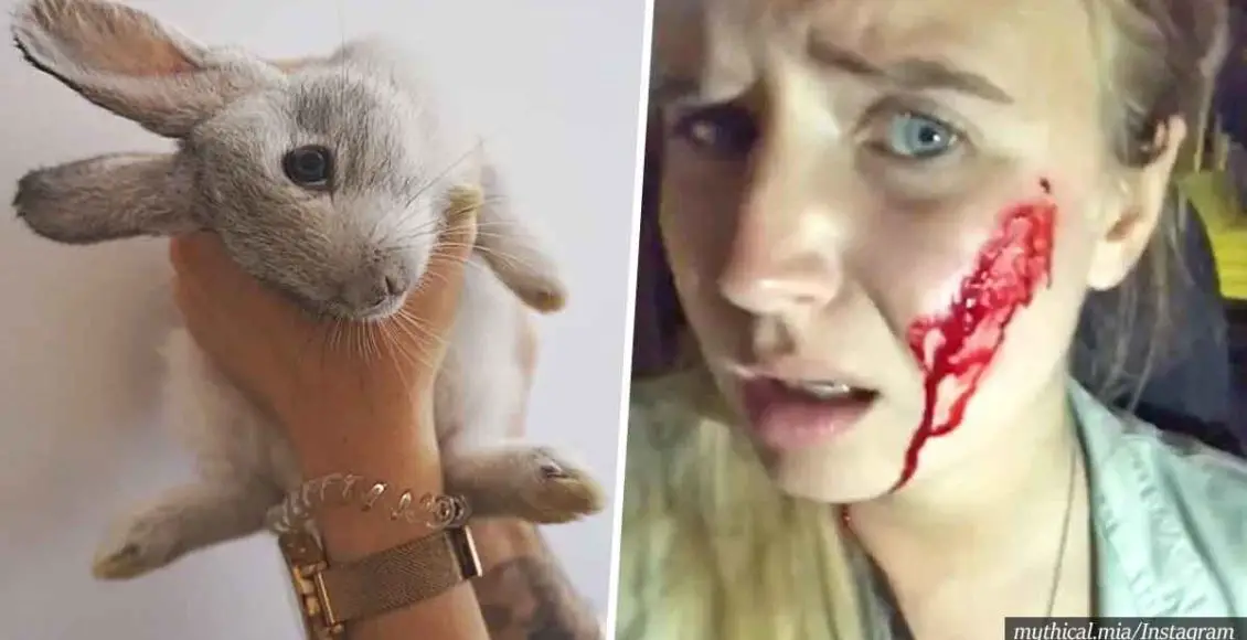 Vegan Activist Who Rescued 14 Rabbits 'Killed More Than 90 In The Process'