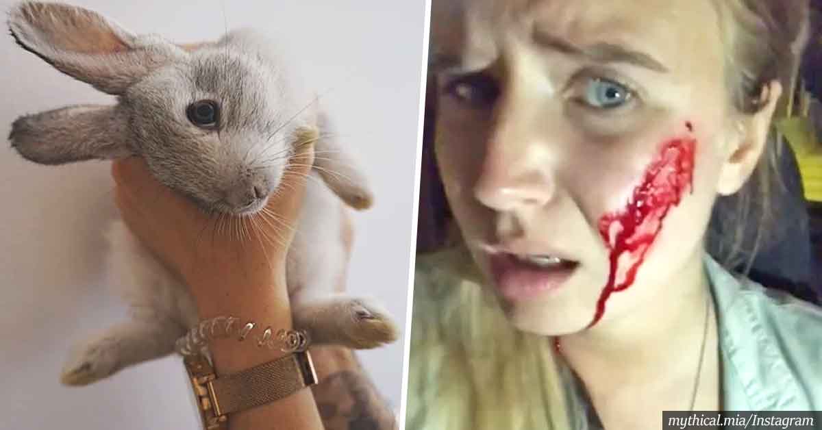 Vegan Activist Who Rescued 14 Rabbits 'Killed More Than 90 In The Process'