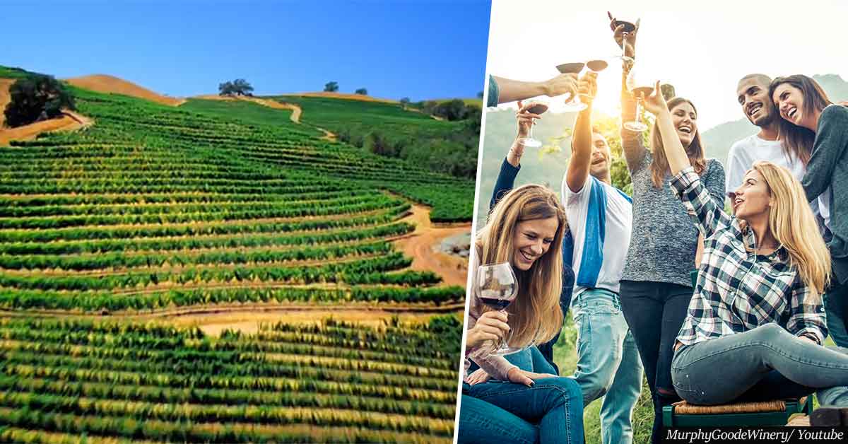 Winery in California will pay you $10,000 a month to work and live rent-free there