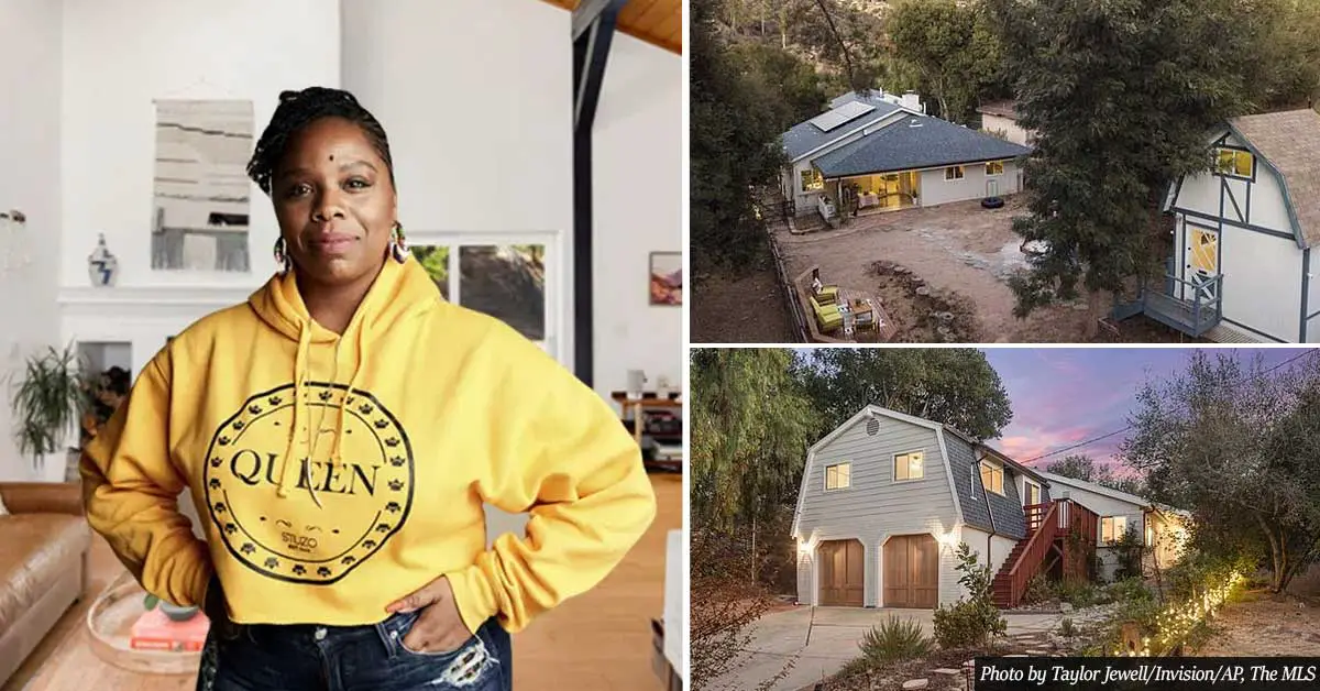BLM co-founder branded a FRAUD after purchasing a $1.4 million home in LA