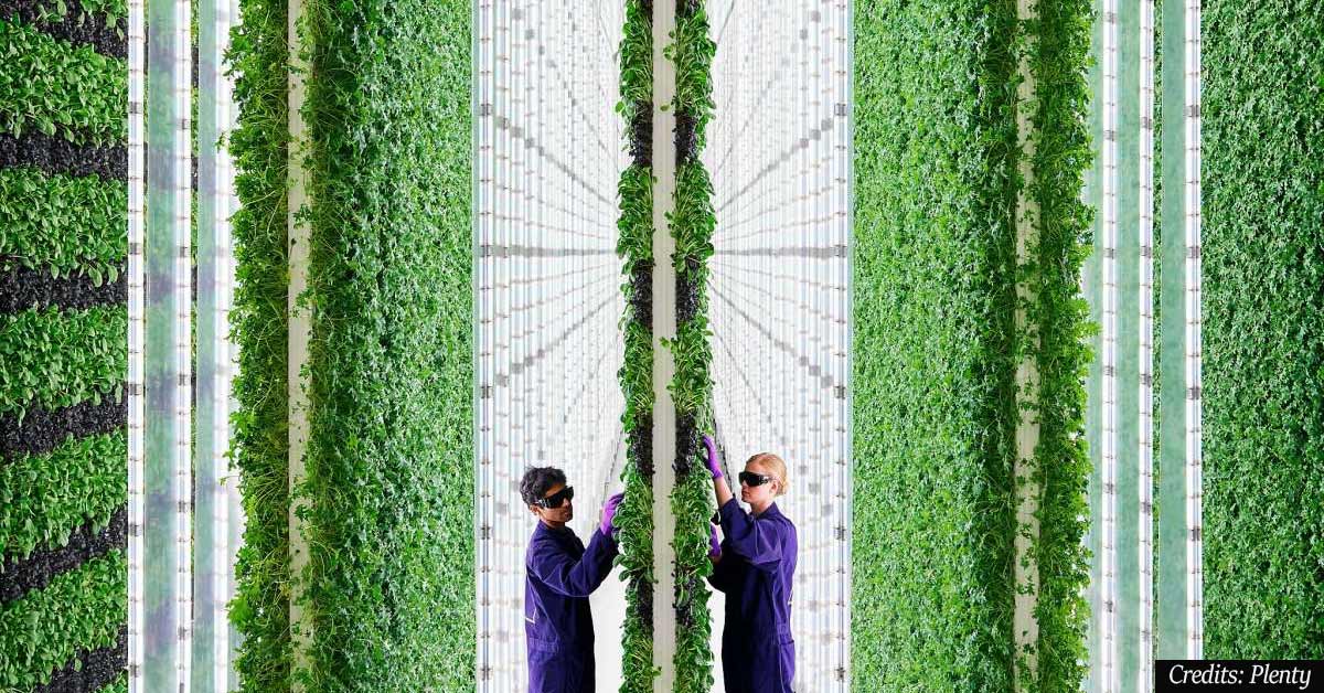 Futuristic, organic vertical farm is being built in the city of Compton