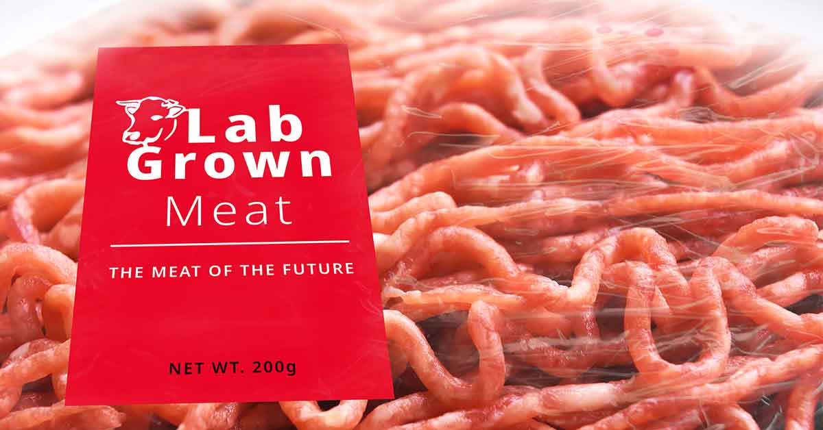 Lab-Grown Cellular Meat Could Hit The Market Within 5 Years