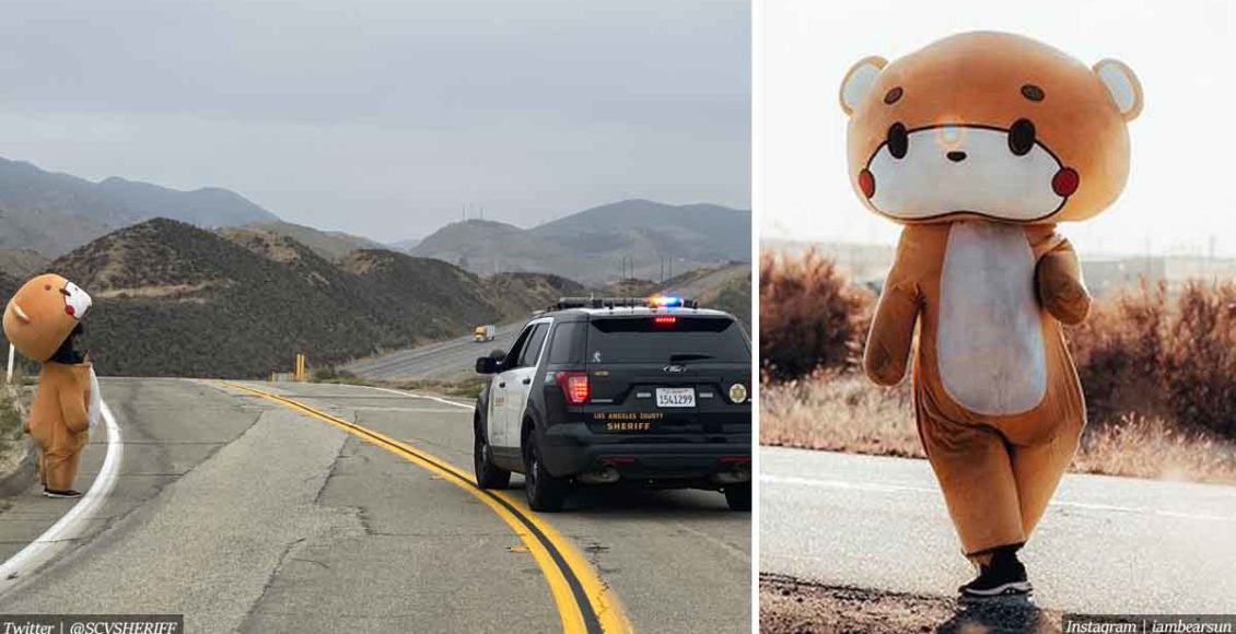Life-size teddy bear walks from LA to SF to raise money for charity