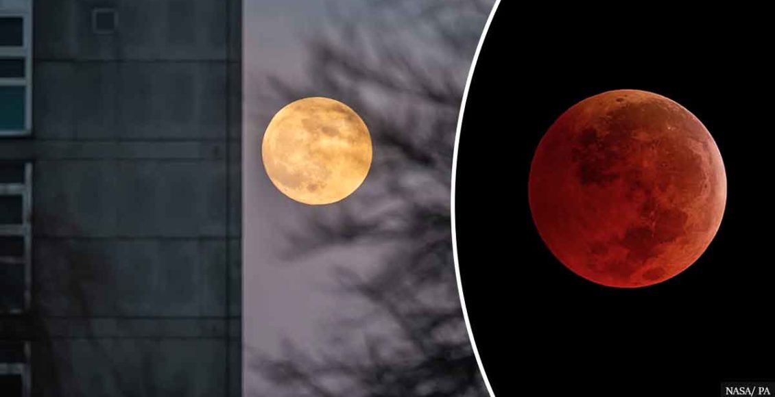 Super Flower Blood Moon brings total Lunar Eclipse next week