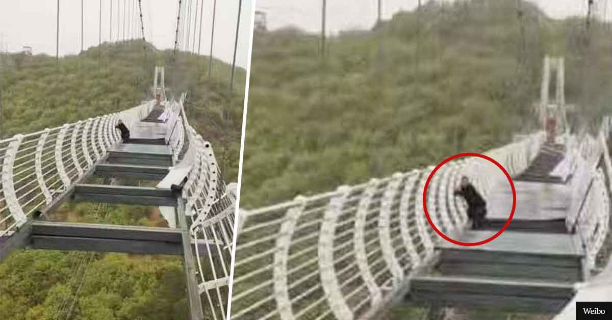 Tourist Gets Stranded On 300ft High Glass Bridge After Panels Get Blown Off By Strong Wind