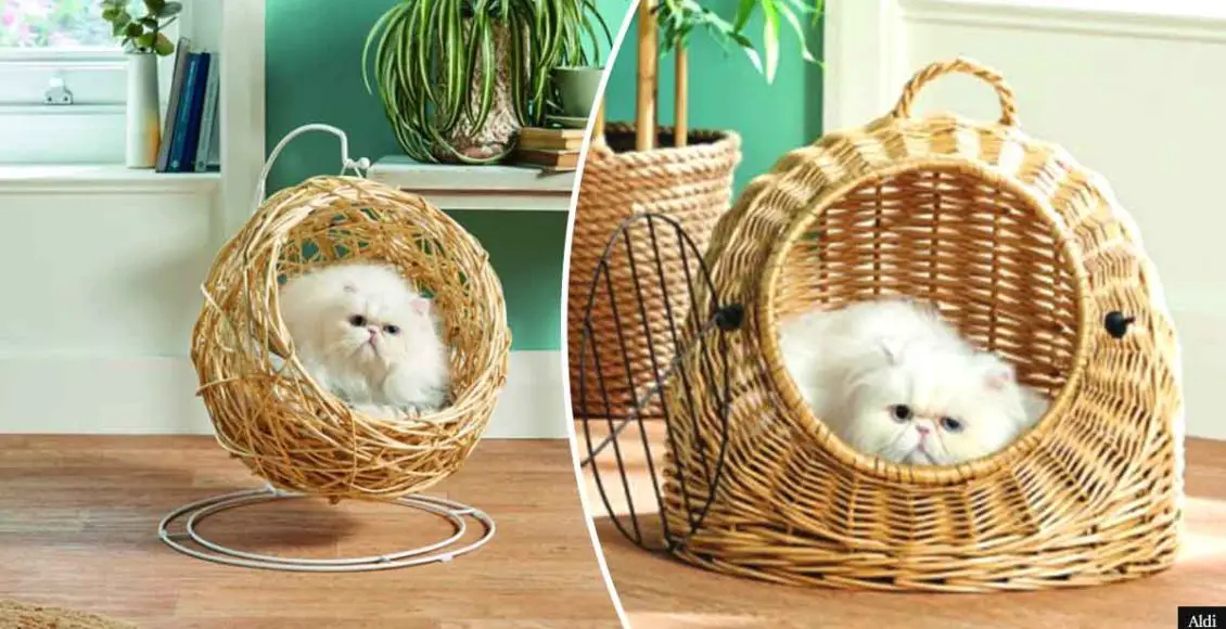 You can now buy a Hanging Egg Chair for your Cat