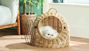 You can now buy a Hanging Egg Chair for your Cat
