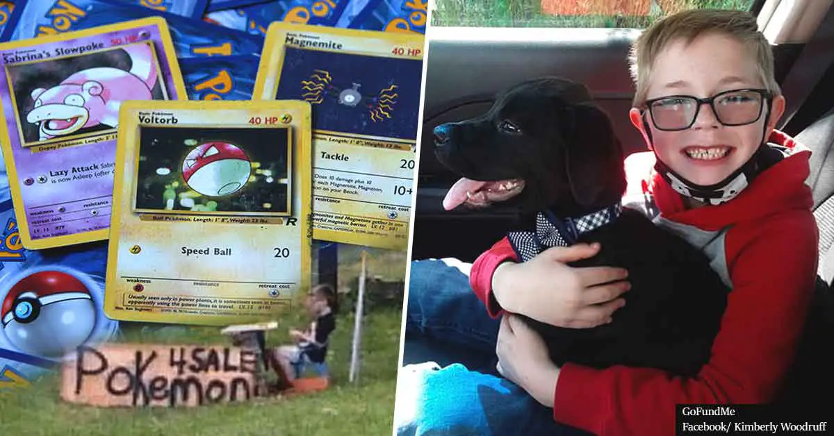 Boy, 8, sells his Pokémon collection to save his dog's life, gets sent rare cards in appreciation