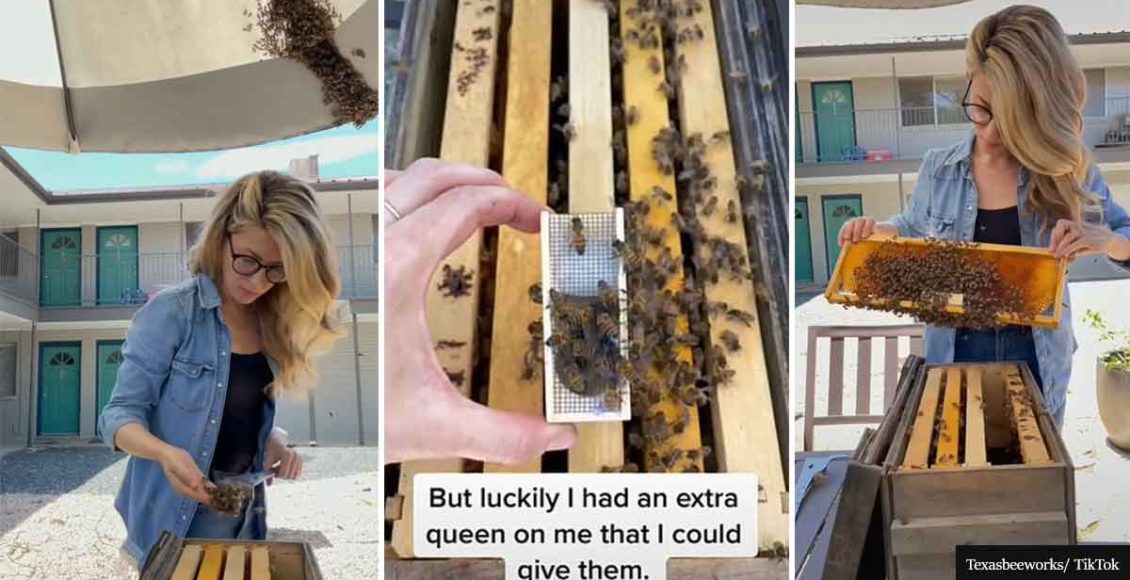 Fearless Woman Amazes People By Handling Swarms Of Bees With Her Bare Hands