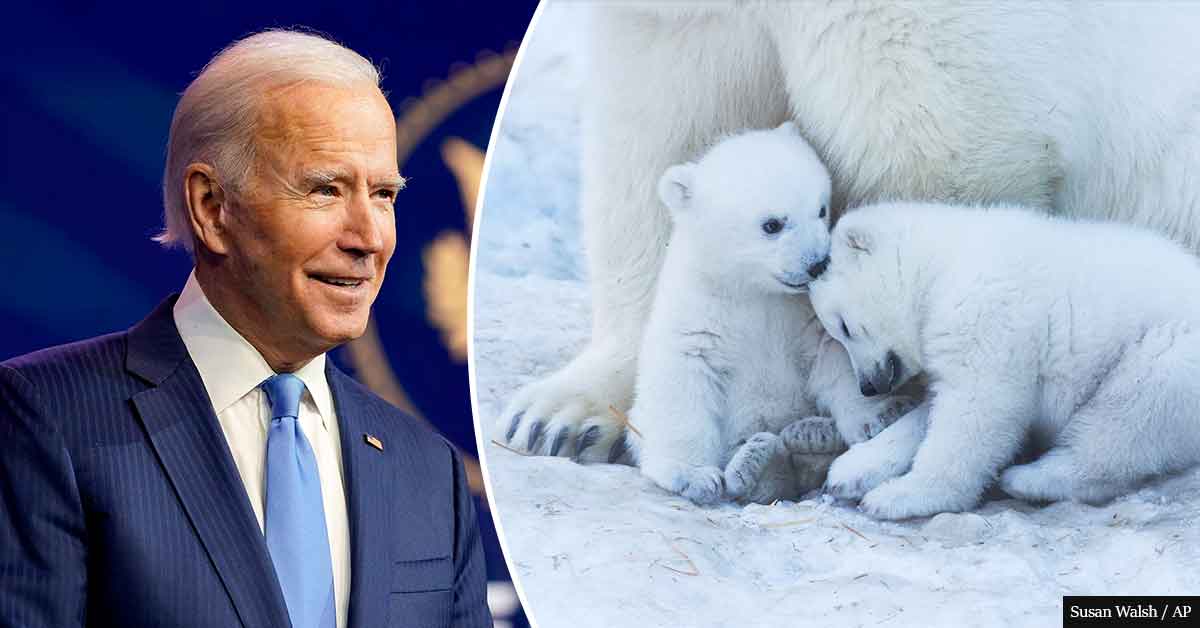 President Joe Biden bars ALL oil and gas drilling in Arctic National Wildlife Refuge
