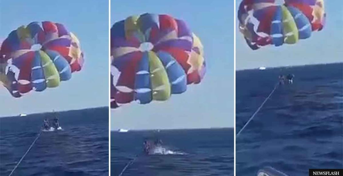 Shark leaps out of the water and bites off a chunk of paraglider’s foot