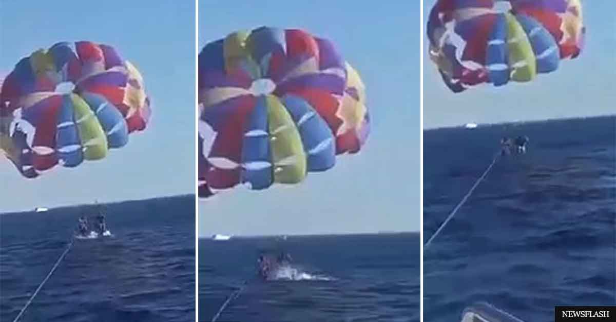 Shark leaps out of the water and bites off a chunk of paraglider’s foot